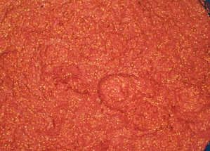 Habanero-rojo-fermentado-hugorestrepoycia